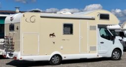 CAPUCINE Ahorn Kentucky